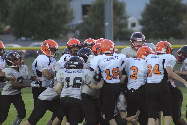 中占据重要 中占据重要