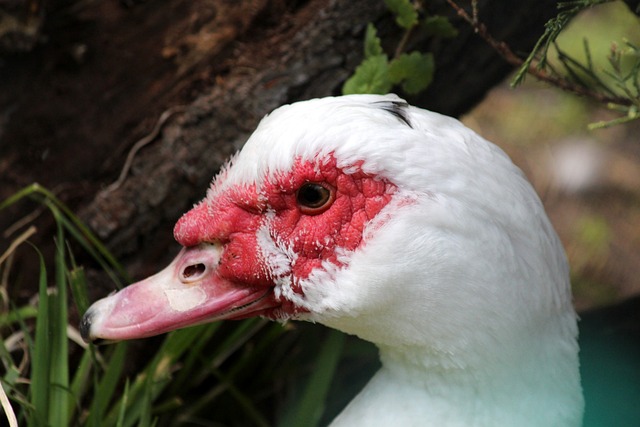 我們將探討 我們將探討