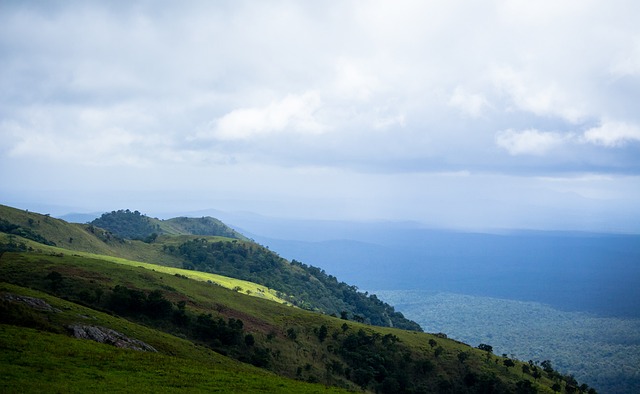 这些战术配 这些战术配