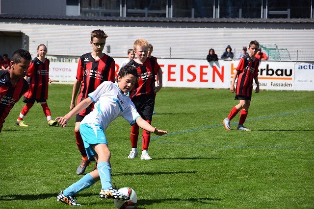 互相学习 互相学习